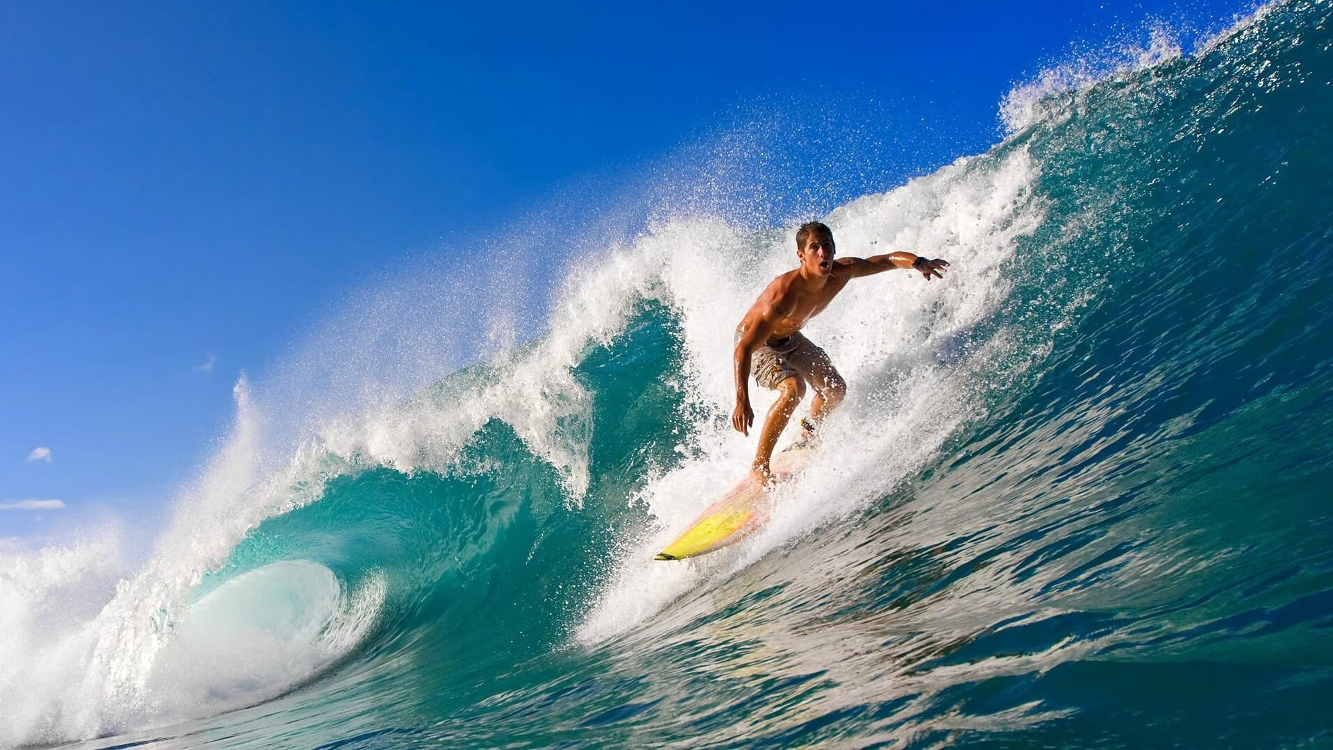 德甲豪门补强中场，目标锁定联赛冠军，德甲豪门降级